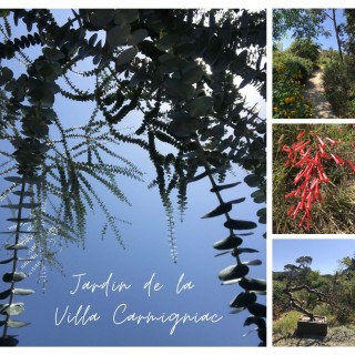 porquerolles: jardin de la villa carmignac