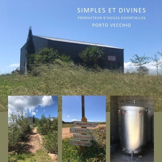 visite de domaine: simples et divines - corse