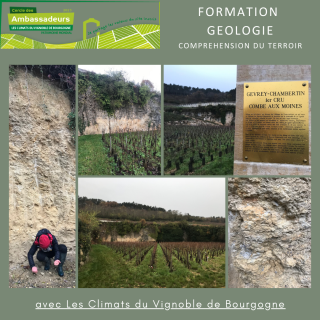 formation: géologie