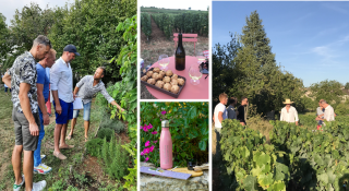 team building dans les vignes!