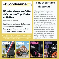 Dijon-Beaune Magazine: top 10 des activités oenotouristiques en Côte d'Or