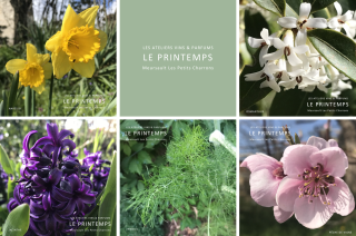 le printemps du jardin olfactif des petits charrons