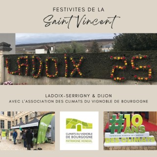 festivités de la saint vincent