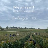 vendanges 2024