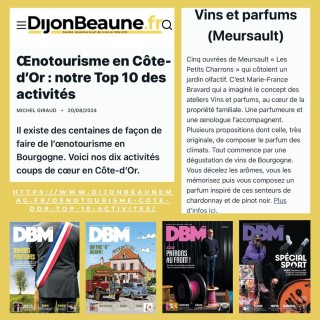 top 10 des activités oenotouristiques en côte d'or